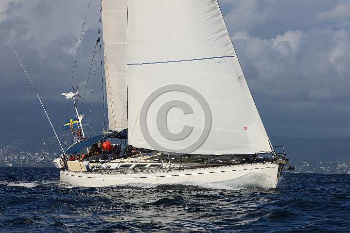 BP190205-0345.JPG