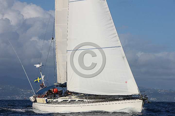 BP190205-0347.JPG
