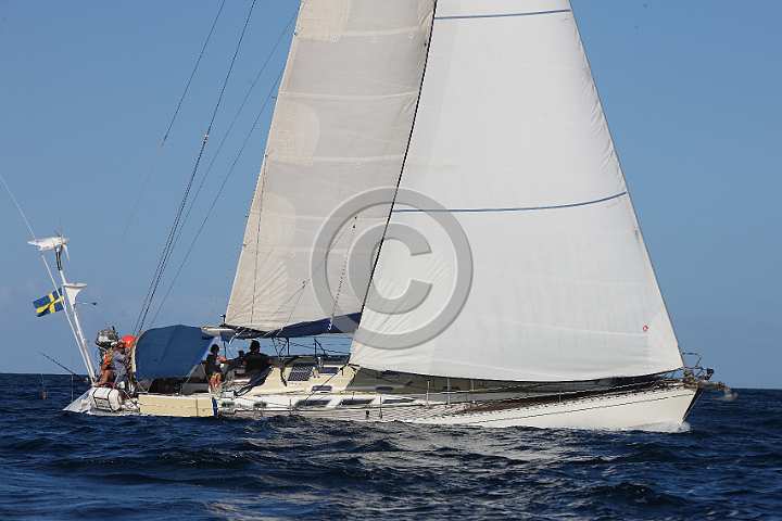 BP190205-0349.JPG