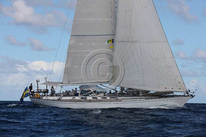 BP190131-0089.JPG