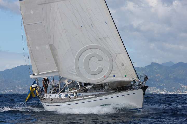 BP190131-0092.JPG