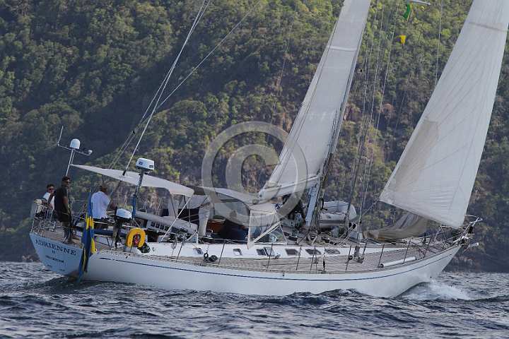 BP190131-0106.JPG