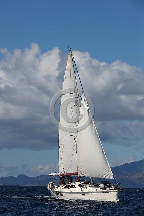 BP190114-0131.JPG