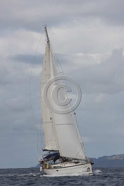 BP190130-0186.JPG