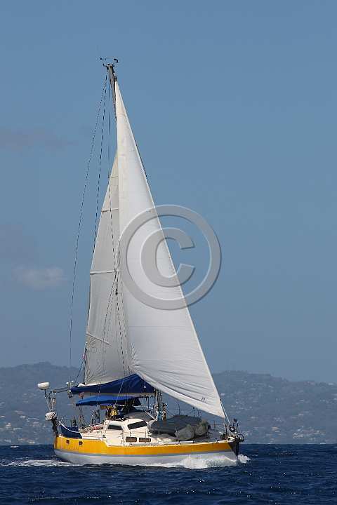 BP190320-0171.JPG