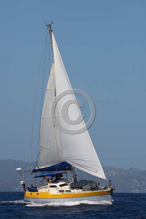 BP190320-0174.JPG