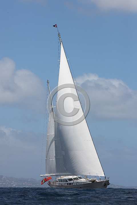 BP190305-0036.JPG