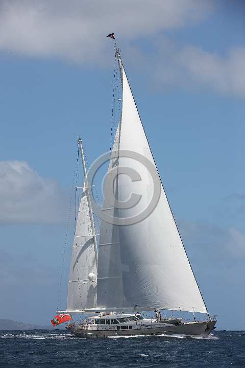 BP190305-0042.JPG