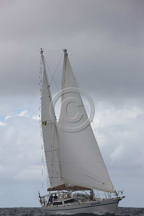 BP181111-0036.JPG