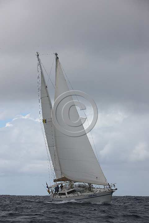 BP181111-0038.JPG