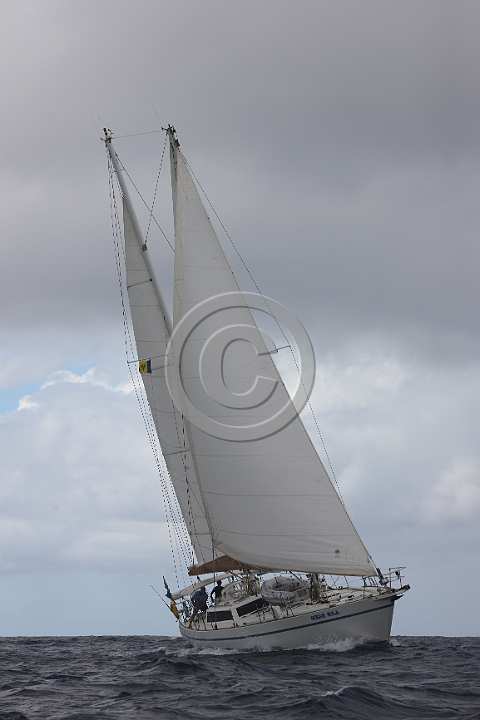 BP181111-0040.JPG