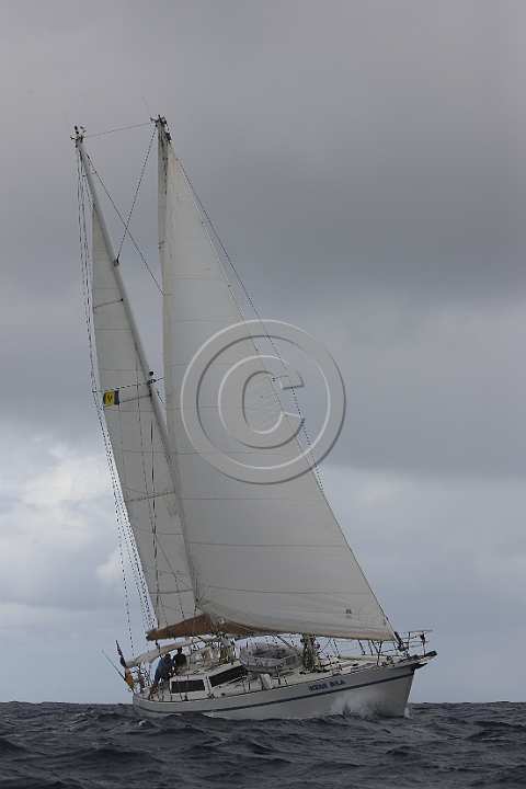 BP181111-0042.JPG