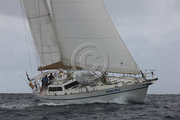 BP181111-0043.JPG