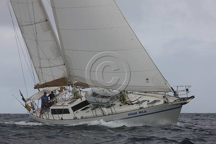 BP181111-0045.JPG