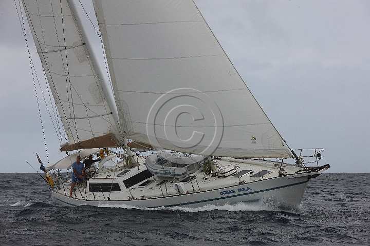 BP181111-0046.JPG