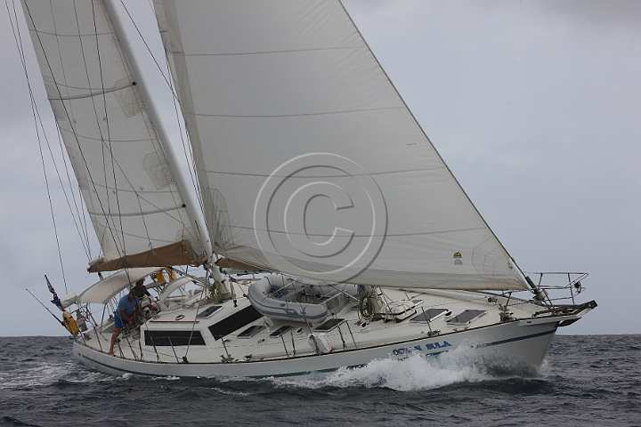 BP181111-0047.JPG