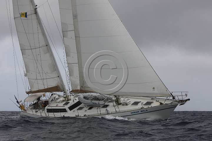 BP181111-0049.JPG