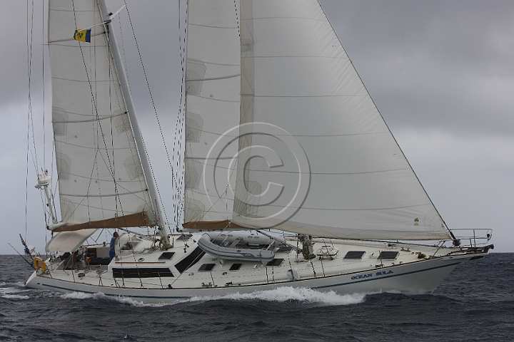 BP181111-0050.JPG