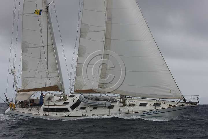 BP181111-0051.JPG