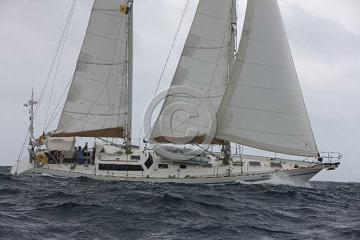 BP181111-0052.JPG