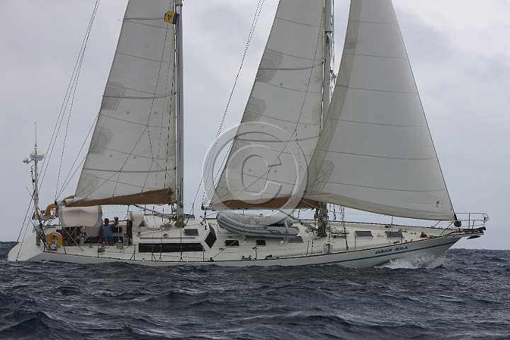 BP181111-0053.JPG