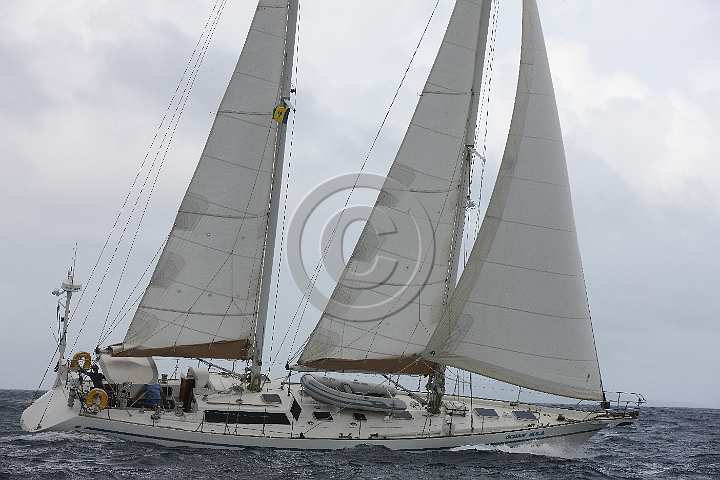 BP181111-0055.JPG