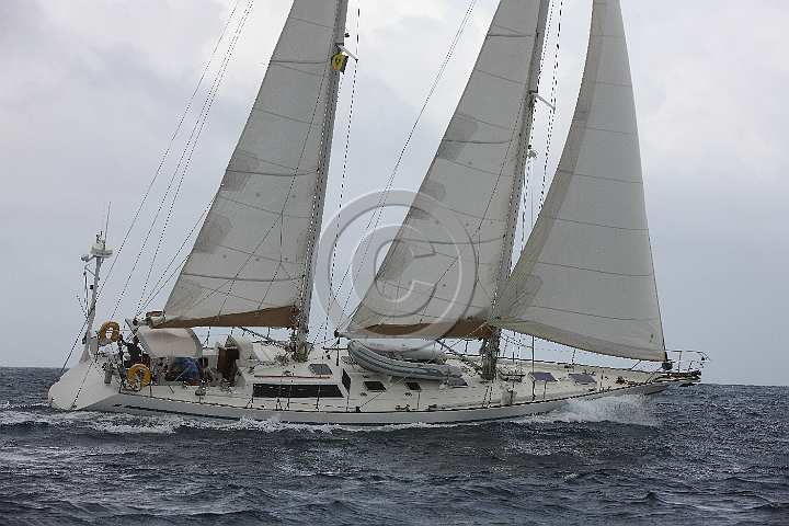 BP181111-0059.JPG