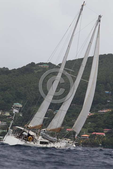 BP181111-0078.JPG
