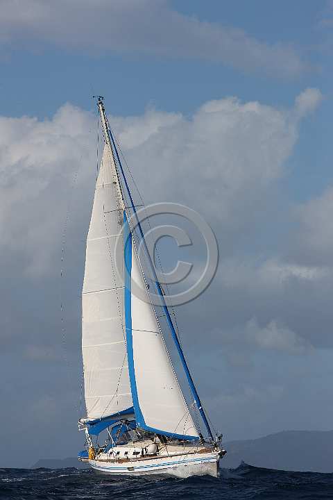 BP191220-0084.JPG