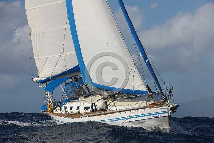 BP191220-0093.JPG