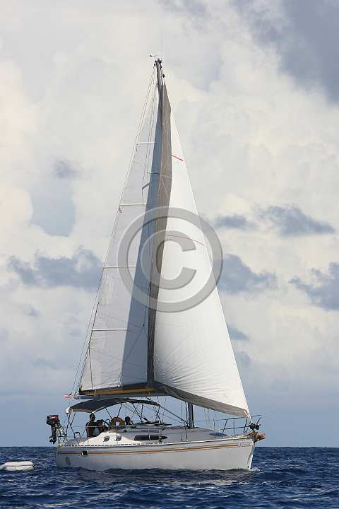 BP1911201-0021.JPG