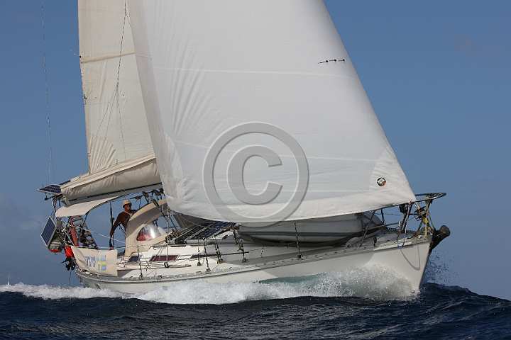 BP200211-0184.JPG
