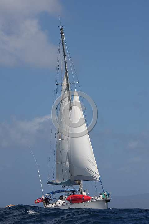 BP200217-0004.JPG