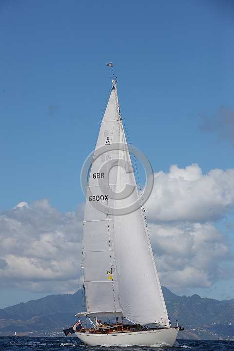 BP200128-0087.JPG
