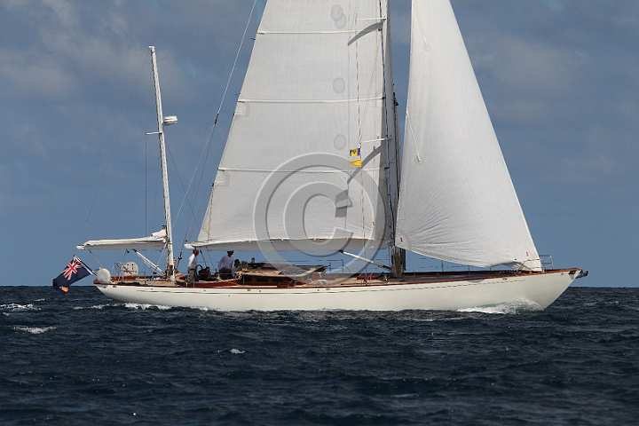 BP200128-0131.JPG