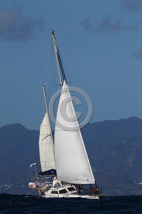 BP200119-0402.JPG
