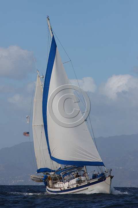 BP200303-0206.JPG