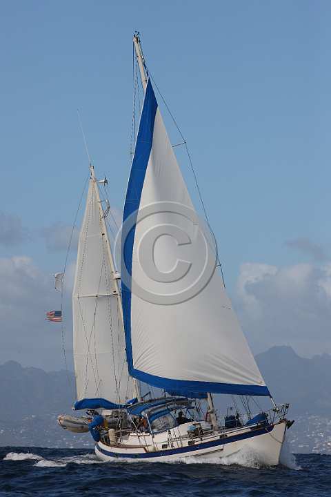 BP200303-0210.JPG