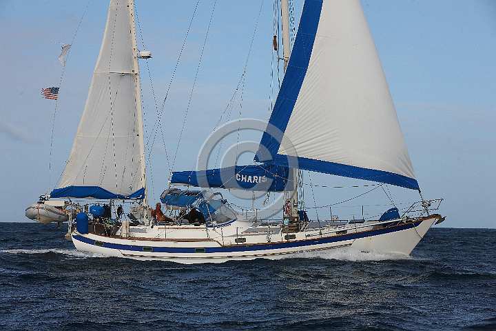 BP200303-0218.JPG