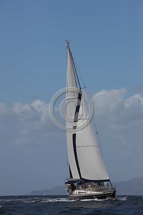BP200303-0171.JPG