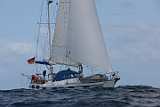 BP200310-0085