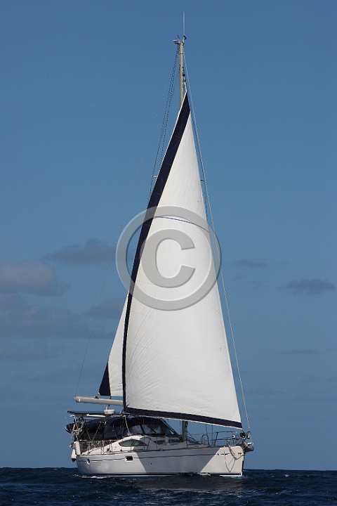 BP200308-0081.JPG
