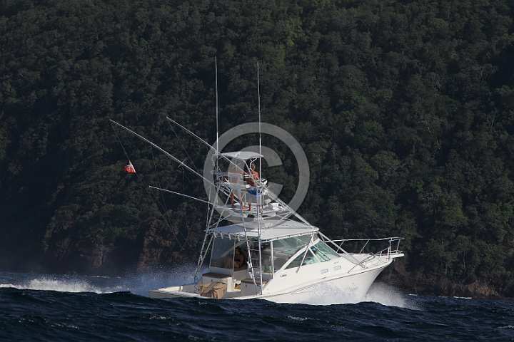 BP191125-0071.JPG